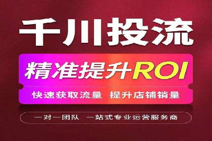 SEM托管公司案例分析：实战技巧全解析